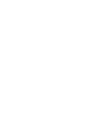 logo white version